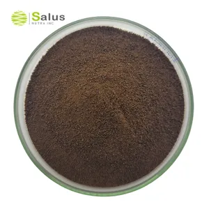 SALUS Wholesale Private Label Maca Root Extract caffè istantaneo Maca