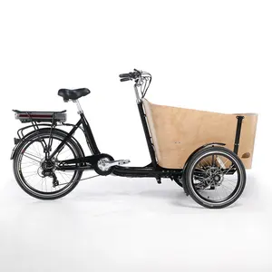 3 Wheel Curve Bicycle For Cargo Bike For Sale Electric Bakfites Fahrrad With Lithium battery