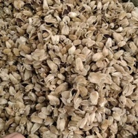 Vente en gros de bourgeons de fleurs de magnolia séchées naturelles de haute qualité, Xin Yi Hua, cueillies à la main, en sachet et en boîte, pour thé santé de qualité alimentaire