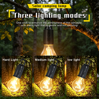 Lampes LED rechargeables par USB pour l'extérieur, ampoules à haute luminosité, lumière d'urgence, crochet pour le camping, la pêche, lanterne portable, lumières de nuit