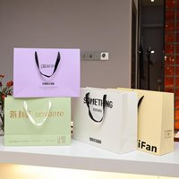 Sacs en papier pour l'emballage au détail Conception personnalisable fonctionnelle à une grande valeur