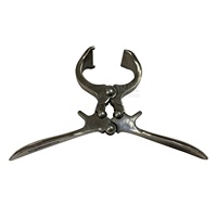 Pince de capture pour cochon, instrument en acier inoxydable, sans sang, pincette