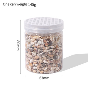 About 100Pcs/Box Natural Conch <strong>Shells</strong> Aquarium Landscape Seashells Crafts Decor Home Decoration DIY Craft Conch <strong>Shell</strong> Pendant - Product Image 4