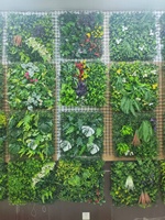 Panneaux de haie artificielle en buis pour extérieur, en plastique, pour jardin, mur vert, toile de fond, durables et écologiques, type herbe