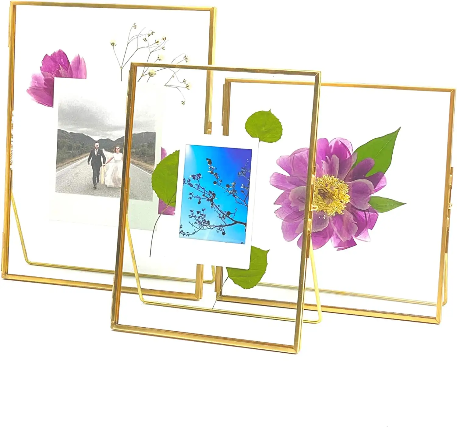 Double Glass Frame for Pressed Flowers Gold Picture Frame for Desk Tabletop Metal Clear Floating Frames