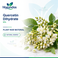 HBEUNDAS Quercétine Dihydratée en Poudre 95% Qualité Alimentaire OEM Marque Privée Ingrédient Extrait Végétal Vente en Gros