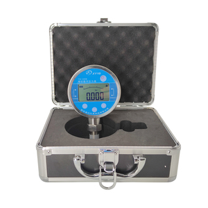 Medidor Digital de Alta Precisión YW-100B con Correa y Retroiluminación 4-20 MA - Product Image 3