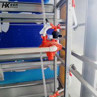 Système de cages en batterie pour élevage de poulets, ligne d'équipement d'alimentation et d'élevage automatique de volailles de type H pour poules pondeuses et poulets de chair