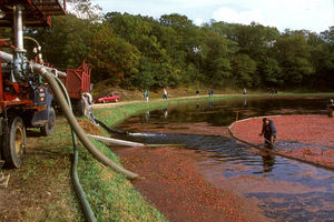 شراء زنبرك مرن من كلوريد البولي فينيل <span class=keywords><strong>3</strong></span> بوصة للوقود الكيميائي المركب - Product Image 6