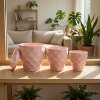 Ensemble de 3 pots de fleurs en céramique rose à texture moderne avec soucoupes