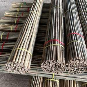 Postes de bambú naturales tratados de Vietnam 3M tubo de poste de bambú Moso para valla de jardín y decoración de paneles de pared del fabricante - Product Image 4