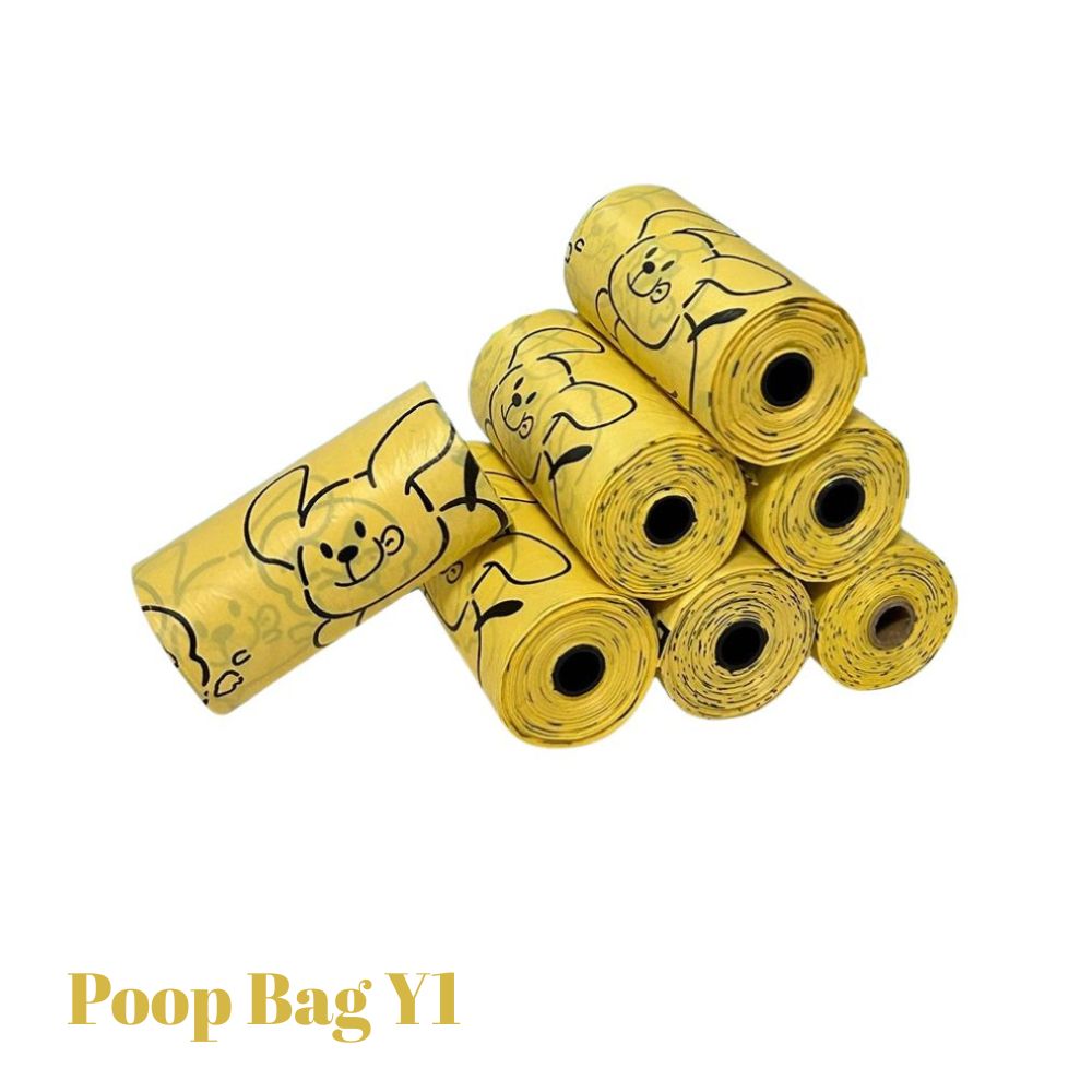 Bag Y1