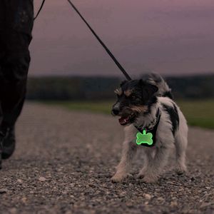 Kit de Etiqueta de Silicona para Perro con Forma de Hueso, Logotipo Personalizado con Láser, Brilla en la Oscuridad, con Cordón de Silicona - Product Image 6