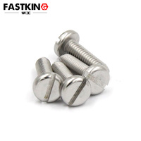Vis à tête cylindrique fendue M3 en acier inoxydable SS316