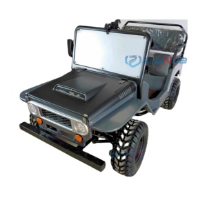 Hot Sale Mini jeep 2 Seater Chinese Engine Petrol jeep Go Kart Small Adult Gasoline Mini Vehicles Cars jeep - Product Image 3