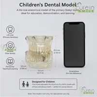 FUREIN SMILE Modèle d'implant dentaire anatomique transparent grandeur nature, personnalisable, en matériaux multifonctionnels pour la science médicale