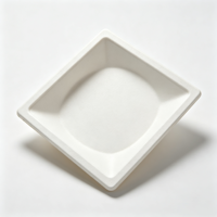 Assiette jetable carrée en bagasse de canne à sucre écologique, résistante, pour plats à emporter, pour restaurant