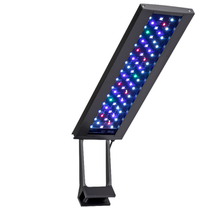 3 modèles de mini <span class=keywords><strong>aquarium</strong></span> en acrylique éclairage LED ornements d'<span class=keywords><strong>aquarium</strong></span> plantes aquatiques blanc <span class=keywords><strong>bleu</strong></span> couleur métal matériel - Product Image 4