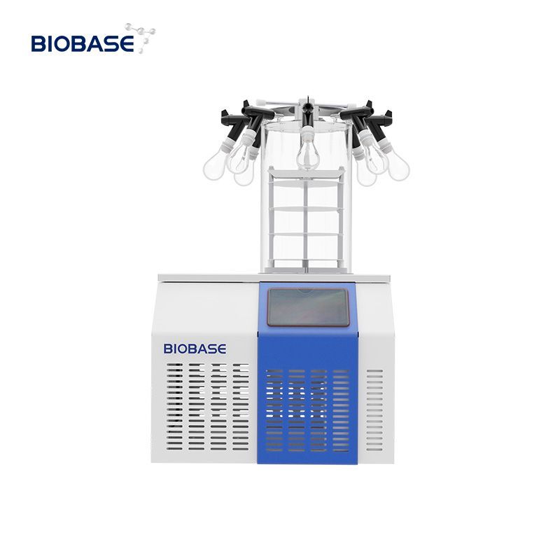 BIOBASE High Efficiency Laboratory Drying Cabinet