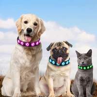 Collier LED pour chien en nylon, rechargeable par USB, résistant à l'eau, avec boucle réglable, haute visibilité pour la marche nocturne