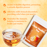 Tisane aux fleurs naturelles pour l'équilibre digestif, mélange d'argousier et d'hericium, sachets de thé pyramidaux 100g, soutient l'estomac