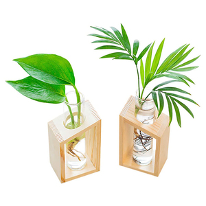 Ensemble de photographie <span class=keywords><strong>en</strong></span> <span class=keywords><strong>verre</strong></span> avec support <span class=keywords><strong>en</strong></span> bambou, bac à tests <span class=keywords><strong>en</strong></span> <span class=keywords><strong>verre</strong></span>, Terrarium, Mini Pots pour plantes hydroponiques pour décor spatial - Product Image 1