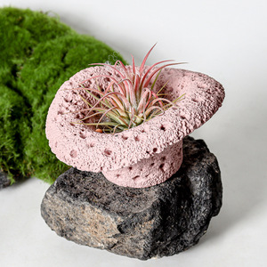 <b>Coconut</b> Wax Handmade Planter Porcelain Jar Simple Personality Creative Literary Green Plant Succulent Potted Indoor Christmas - Product Image 4