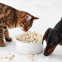 Vente en gros OEM de viande de foie de poulet lyophilisée crue, friandises pour chiens et chats, fabrication d'aliments pour chiens, santé dentaire