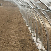Structure en acier en forme de Z pour serre agricole
