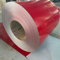 Bobina de Acero Galvanizado Prepintado PPGI con Certificación BIS RAL5023 a Precio de Fábrica para la Construcción de Infraestructuras de Plantas de Tratamiento de Agua