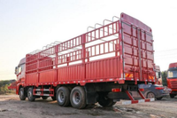 Camion de transport de marchandises JAC 8x4 à ridelles, 12 roues, robuste, pour le transport général de marchandises et de bétail
