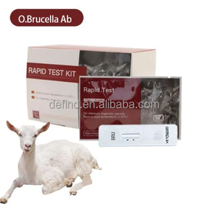 Kit per Test rapido Plasma sanguigno siero sangue anticorpo per ovini/caprini Brucella - Product Image 2
