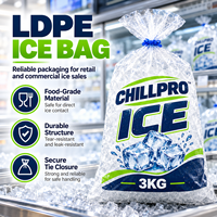 Sac d'emballage pour glace en LDPE durable, étanche, capacité de charge 3kg, 5kg, 7kg, 10kg, pour la vente en gros, ODM, OEM, destiné aux marchés de fruits de mer et à la chaîne du froid