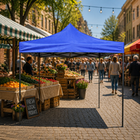 Tente publicitaire personnalisée imprimée 3x6m en PVC imperméable, chapiteau événementiel pliable pour la promotion