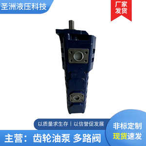 Bomba de engranajes serie CBGJ de Shengzhou Hydraulics 25*32*32*16 para plataforma de perforación, martillo perforador y grúa - Product Image 2