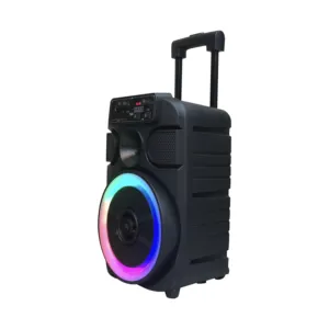 8 inch rechargeable outdoor trolley speaker karaoke stage speaker with wired or wireless microphone
