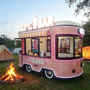 Electric Food Cart Mobile Catering <b>Trailer</b> CE Certified Practical Storage Design For Outdoor Park Street Fast Food Business - Product Image 1