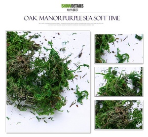 E-3086 Preserved Green <strong>Moss</strong> Bark 800g <strong>Dried</strong> Natural Sphagnum <strong>Moss</strong> for Crafts, Floral Arrangements, and Terrariums - Product Image 3