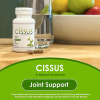 OLLI OEM/ODM/OBM Extrait de Cissus Quadrangularis pour le soutien des articulations osseuses, capsules d'extrait de Cissus favorisant la force osseuse, capsules de Cissus