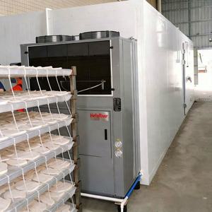 Essiccatore per Carpe, Anguille, Pesce, Capesante e Petto di Pollo con Aria Fredda, Certificato CE, Marca Hello River, Qualità Garantita - Product Image 2