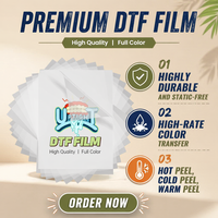 Film de transfert thermique DTF PET personnalisé par le fabricant, largeur 30 cm, avec un taux de transfert de 99 % et haute température pour T-shirt