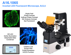 OPTO-EDU A16.1065 3W LED Phase Contraste Binoculaire Inversé <span class=keywords><strong>Microscope</strong></span> à <span class=keywords><strong>Fluorescence</strong></span> - Product Image 4
