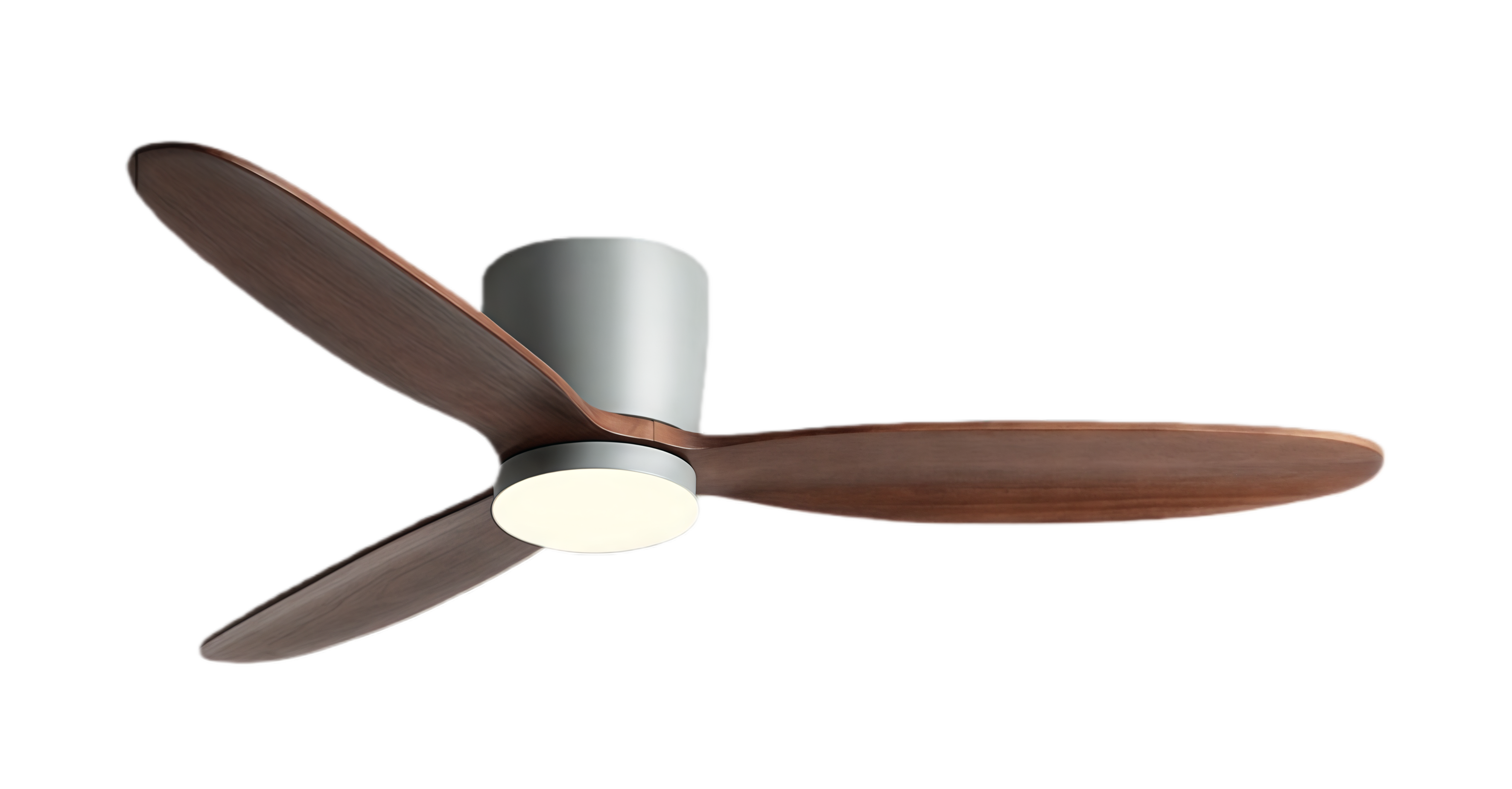 วอลนัทสีเทา