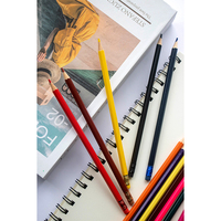 Haute qualité nouveau EN71-3/9 FSC bois tendre fort effaçable ensemble de crayons de couleur pour les étudiants artiste dessin peinture