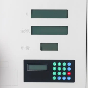 תחרותי מחיר 220v/12v/24v נייד דלק Dispenser משאבת - Product Image 6