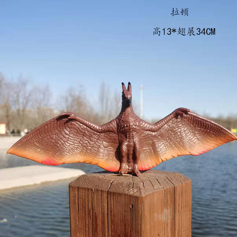 55 Rodan 13*34cm