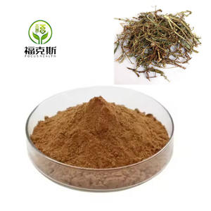 Japonicum üretimi tedarik tozu ortak Knotgrass <span class=keywords><strong>Polygonum</strong></span> <span class=keywords><strong>Aviculare</strong></span> özü - Product Image 2