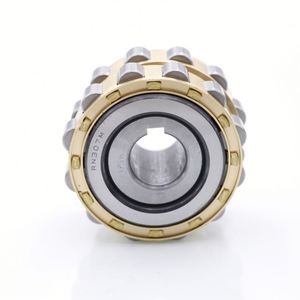 Rodamiento Reductor Excéntrico RN211, Rodamiento de Rodillos Cilíndricos RN211E - Product Image 1