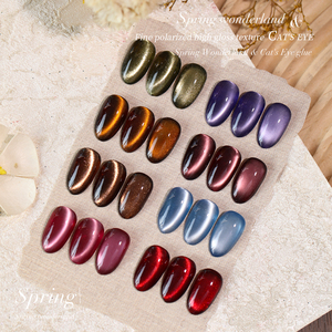 Oferta Especial <span class=keywords><strong>Kit</strong></span> <span class=keywords><strong>de</strong></span> Esmalte <span class=keywords><strong>de</strong></span> Uñas en Gel Ojo <span class=keywords><strong>de</strong></span> Gato Spring Wonderland <span class=keywords><strong>de</strong></span> 40 Colores 15ml Set <span class=keywords><strong>de</strong></span> Esmalte en Gel UV Removible para Suministros <span class=keywords><strong>de</strong></span> Salón <span class=keywords><strong>de</strong></span> Uñas - Product Image 4
