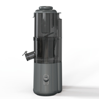 Exprimidor eléctrico portátil de masticación lenta de 200ml, Mini USB, extractor de jugo de fruta de prensa en frío inversa para uso doméstico en Hotel RV